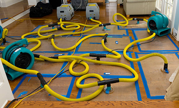 Professional Storm Water Damage Restoration technician working in Braddock, VA